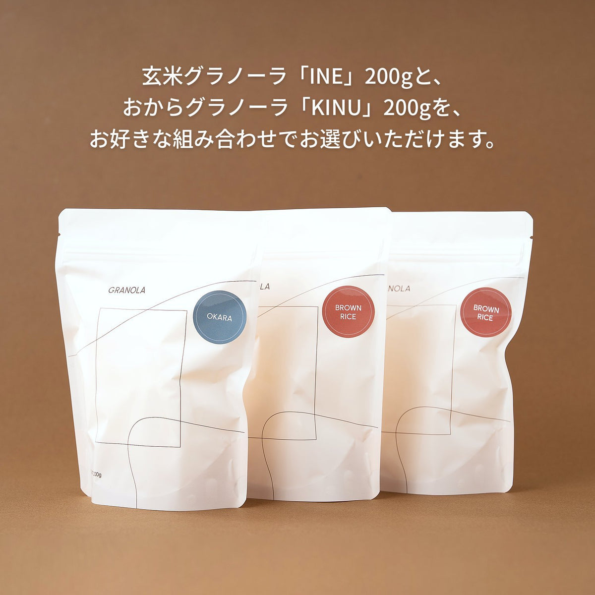 【定期コース】TANE GRAN -グラノーラ定期便-